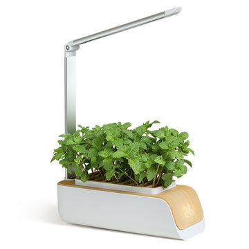 Smart Indoor Herb Garden Lamp