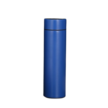 Smart Temperature Water Bottle